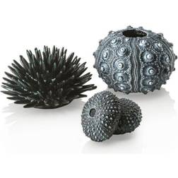 Oase Biorb Sea Urchins