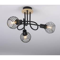 Paul Neuhaus spot Ceiling Flush Light