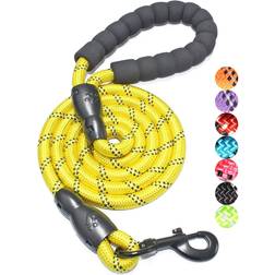 Dog Leash 1/2''x5FT