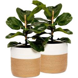 Juvale Juvale 2 Pack Rope Basket Planter