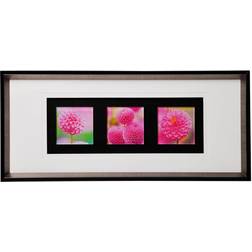 Premier Housewares Pink Floral Colour Triple Framed Art