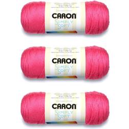 Caron Simply Soft Brites Yarn-Watermelon Multipack Of 3