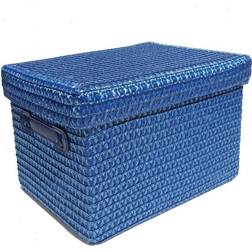 Blue, EXTRA LARGE 36x28x24cm Neon Box Basket