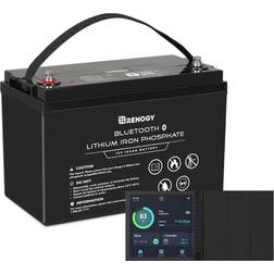 Renogy 12V 100Ah Lithium Iron Phosphate Battery w/ Bluetooth 3453