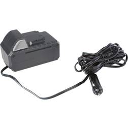 Sun Joe AIRJ24C-12VAD Power Adapter, Black