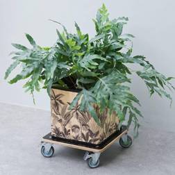 Nature Plant Trolley Square 38x38