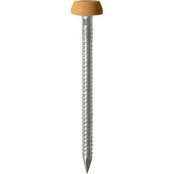 Timco Oak Polymer Headed Pins