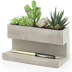 Kikkerland Concrete Desktop Planter, Large PL02-L