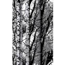 D-C-Fix Wood Trees Woodland Forest Self 45cm Black Adhesive Film