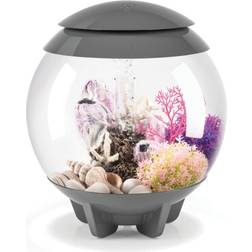 Biorb halo aquarium 15l