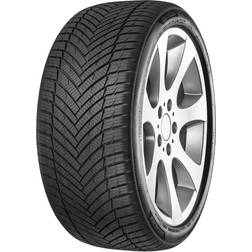 Minerva AS Master 185/70R14 88T