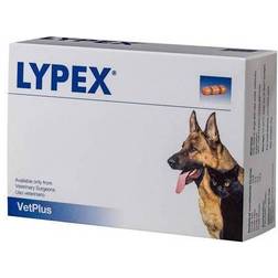 VetPlus Lypex pancreatic enzyme capsules supplement support dogs