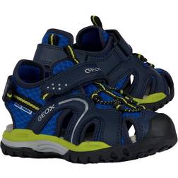 Geox Borealis Boy Sandal, ROYAL/Lime