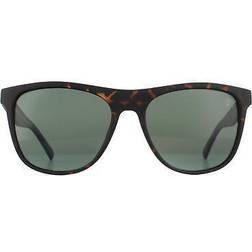 Timberland Sunglasses TB9124 52R Dark Havana Polarized