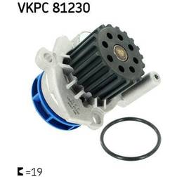 SKF Water Pump