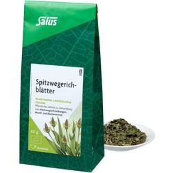 Salus Spitzwegerichblätter Arzneitee Bio