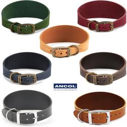 Ancol Timberwolf Leather Whippet Collar