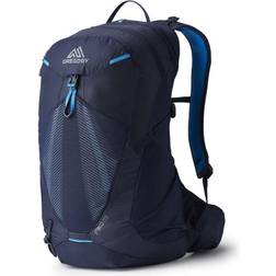 Gregory Miko 25l Backpack Blue