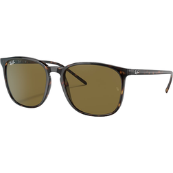 Ray-Ban RB4387F 902/73