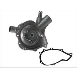 Magneti Marelli Wasserpumpe 352316170684