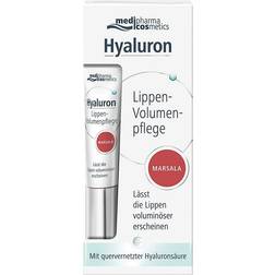 Dr. Theiss Naturwaren Hyaluron lippen-volumenpflege balsam marsala 7