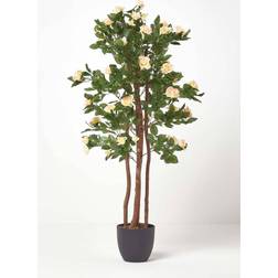 Homescapes Blush Potted White Rose Tree with Green Leaves Artificial Plant