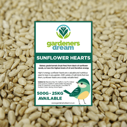 GardenersDream Sunflower Hearts Wild Bird