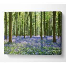 B&Q Mystical Bluebell Woodland Canvas Print Medium Wall Decor