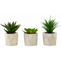 Premier Olivia's Freda Planter Succulent Set Of 3 In Geo Cement Pots