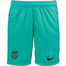 Nike Men's F.C. Barcelona 2023/24 Stadium Third Dri-Fit Football Shorts