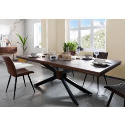 Massivmoebel24 Stilmöbel Brown Dining Table 107x240cm