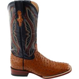 Ferrini Full Quill Ostrich M - Black/Brown