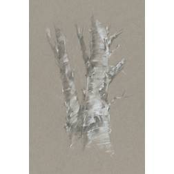 Union Rustic Chalk Birch Study II Grey Framed Art 20x30cm