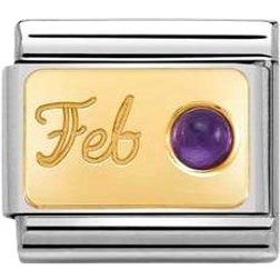 Nomination Composable Classic February Link Charm - Silver/Gold/Amethyst