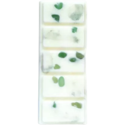 Psychic Sisters Aventurine Green/White Wax Melt