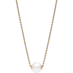 Pandora Collier Necklace - Gold/Transparent/Pearl