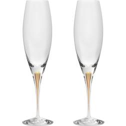 Orrefors Intermezzo Champagne Glass 26cl 2pcs