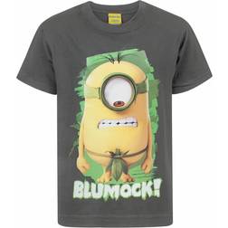 MINIONS Boy's Short Sleeved T-shirt - Grey