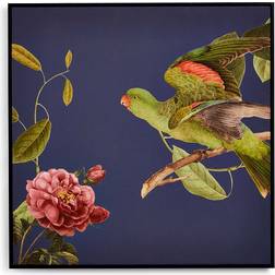 Parrot Multicolor Framed Art 60x60cm