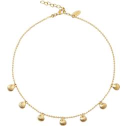 Caroline Svedbom Petite Shell Choker Necklace - Gold