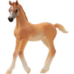 Schleich Horse Clube Arabian Foal 13984