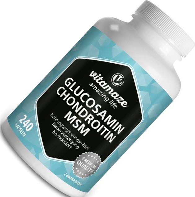 Vitamaze Glucosamine Chondroitin MSM 240 pcs • Price
