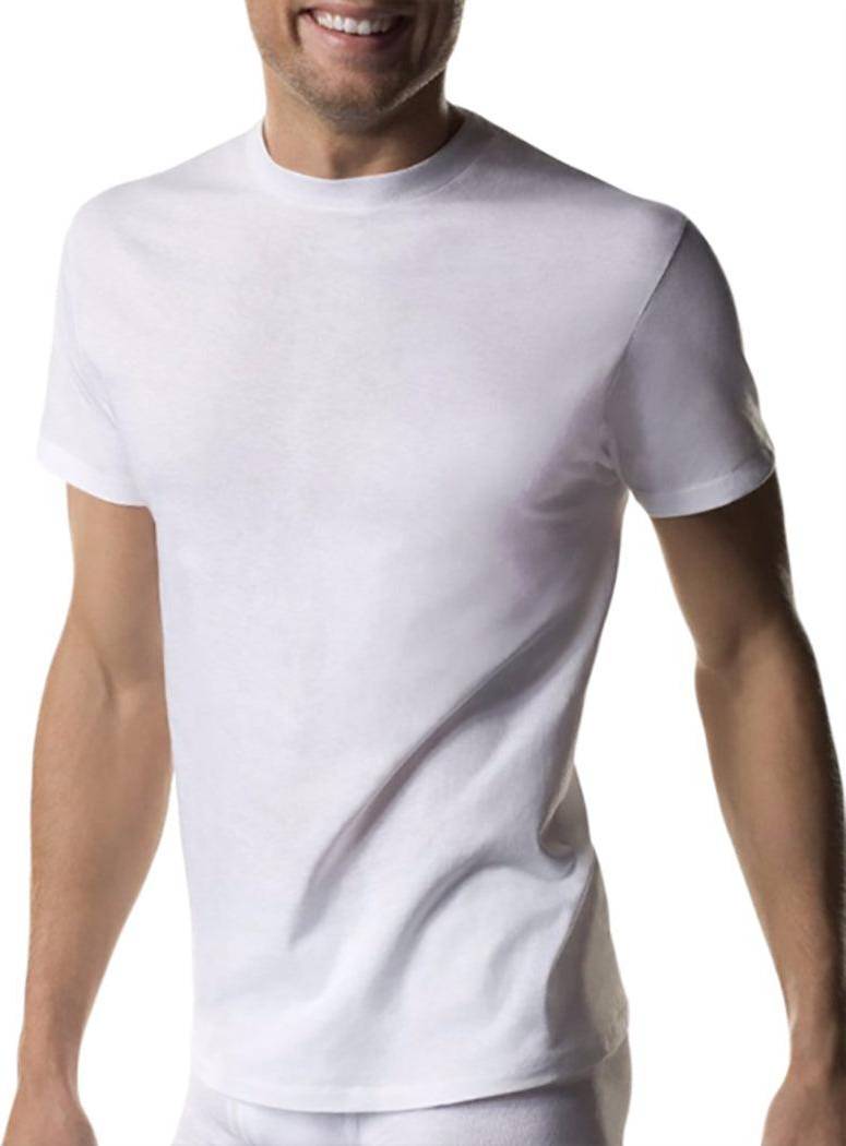 Hanes Men Crew T-Shirt Undershirts Pack • Prices