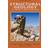 Structural Geology of Rocks and Regions (Hardcover, 2011)