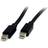 StarTech 1.2 Mini DisplayPort - Mini DisplayPort M-M 2m