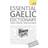 Essential Gaelic Dictionary: Teach Yourself (Paperback, 2010)
