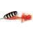 Abu Garcia Reflex Red 12g Zebra Z