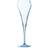 Chef & Sommelier Open Up Champagne Glass 20cl 2pcs
