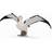 Collecta Wandering Albatross 88765