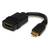 StarTech HDMI - HDMI Mini High Speed with Ethernet F-M 0.1m